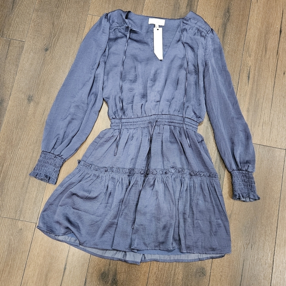 NWT Pinch Ruffle Dress - Size S - Picture 9 of 16